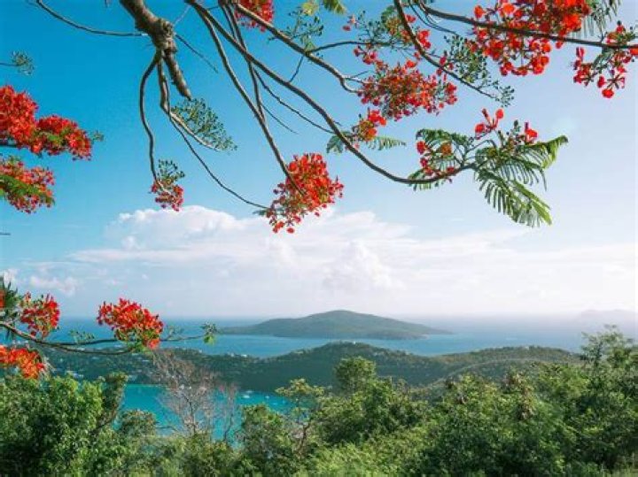 When Is the Best Time to Visit the U.S. Virgin Islands?