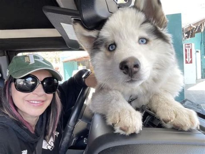 Cynthia Rothrock Pets - Celebrity Pets