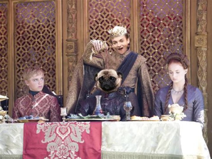Game of Thrones’ King Joffrey had a Photoshop Battle with a Pug