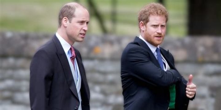 Prince Harry and William 'begged to stop fighting to avoid King Charles' misery'