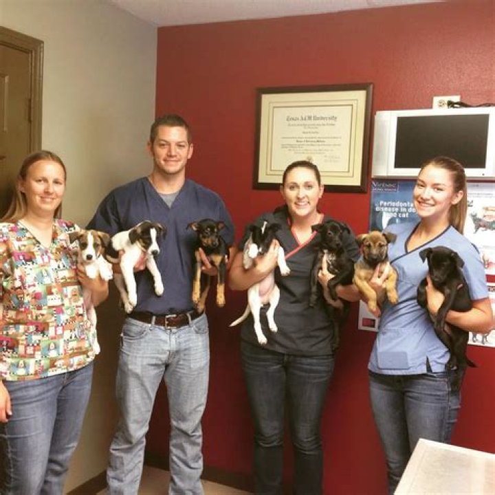 Vet Ranch: modern day heroes saving the world one rescue at a time